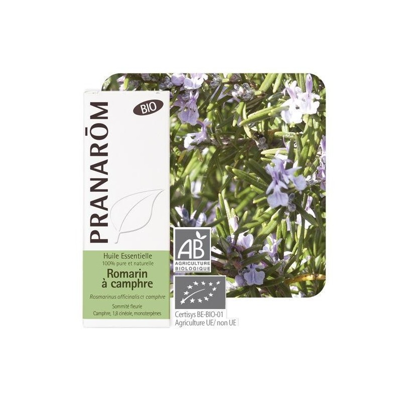 Romarin à camphre bio Pranarôm pour relaxation et bien-être naturel.