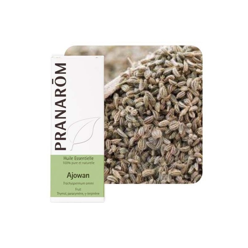 Huile essentielle d'Ajowan Pranarôm