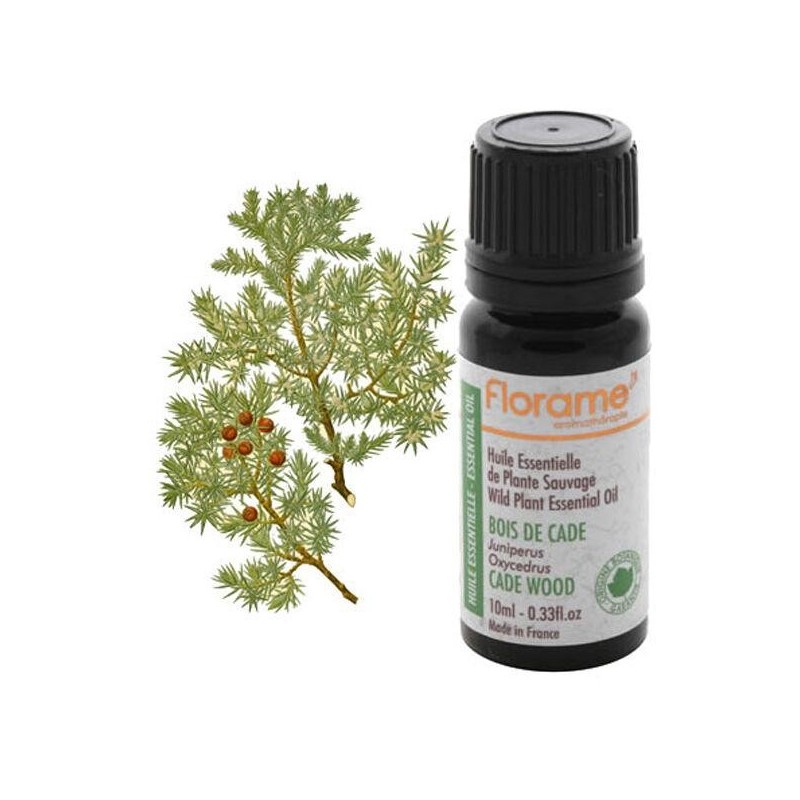 Infusettes Cajeput Bio de Florame