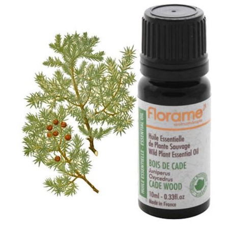 Infusettes Cajeput Bio de Florame