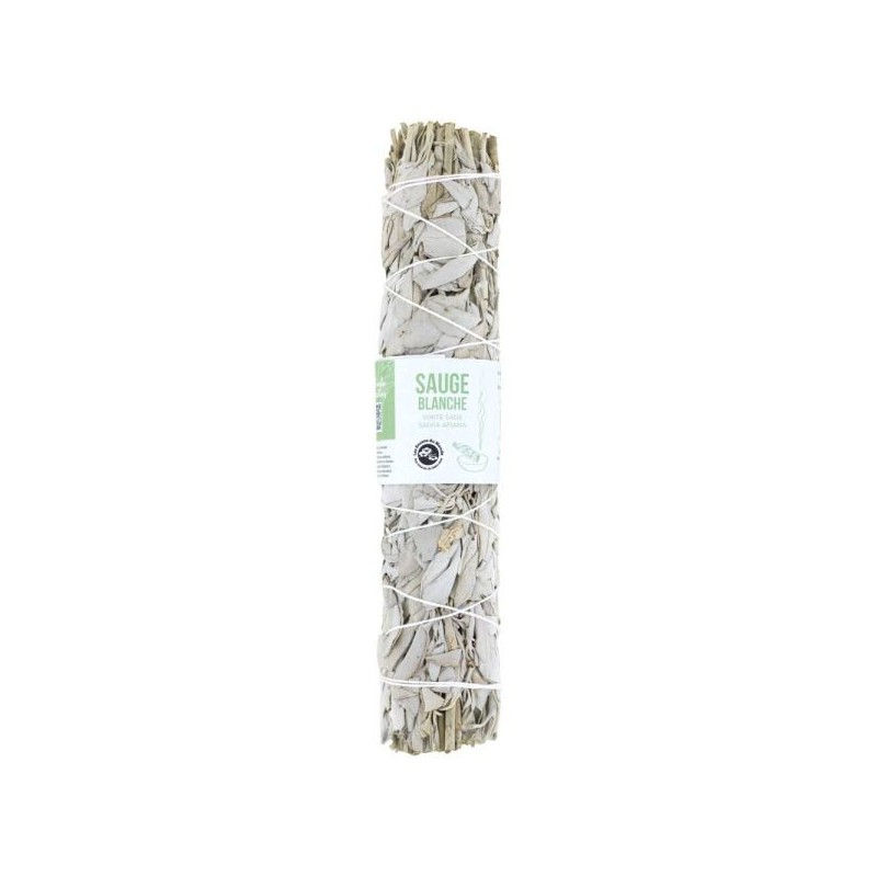 Tresse sauge Blanche 23 cm