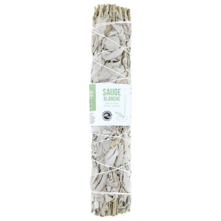 Tresse sauge Blanche 23 cm