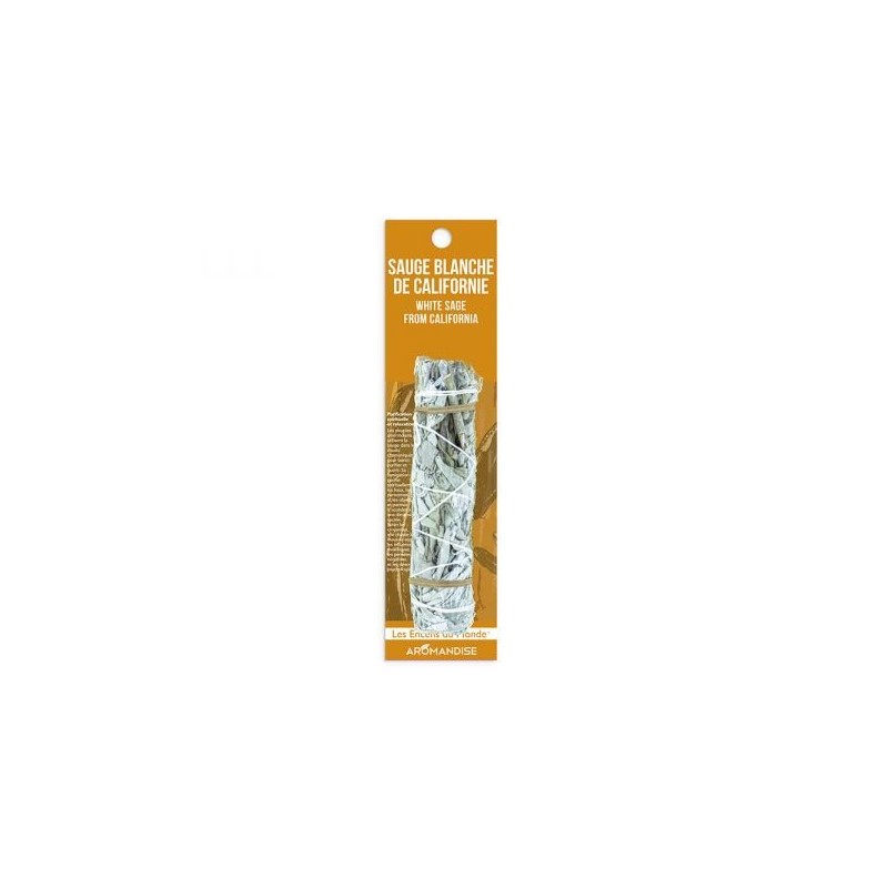 Tresse sauge blanche californie 13 x 3