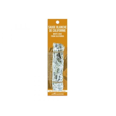 Tresse sauge blanche californie 13 x 3