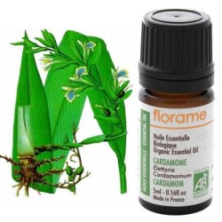 Cardamome Bio