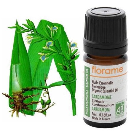 Cardamome Bio