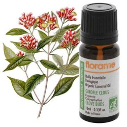 Huile essentielle de Clou de girofle Bio de Florame