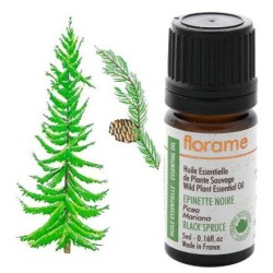 Image de l'huile essentielle d'épinette noire Bio de Florame