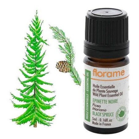 Image de l'huile essentielle d'épinette noire Bio de Florame