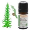 Image de l'huile essentielle d'épinette noire Bio de Florame
