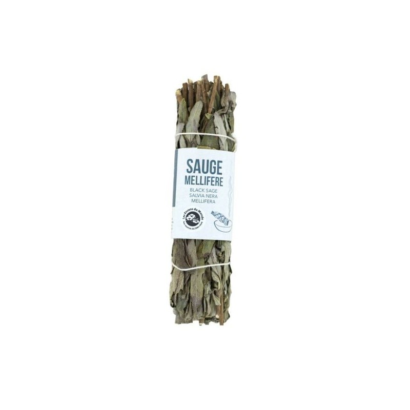 Tresse sauge Noire 10 - 12 cm
