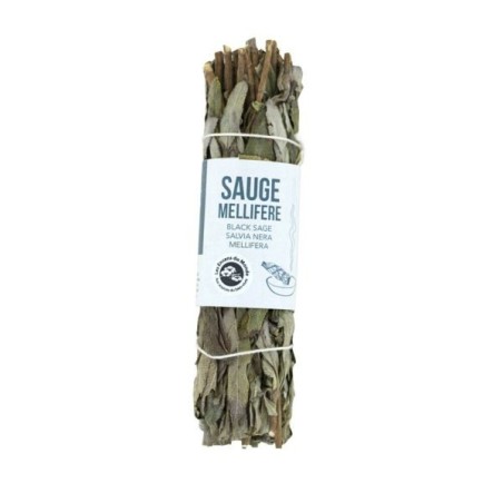 Tresse sauge Noire 10 - 12 cm