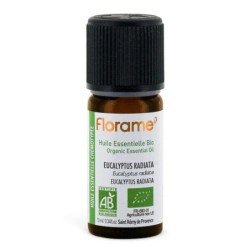 Eucalyptus Radiata Bio en infusettes