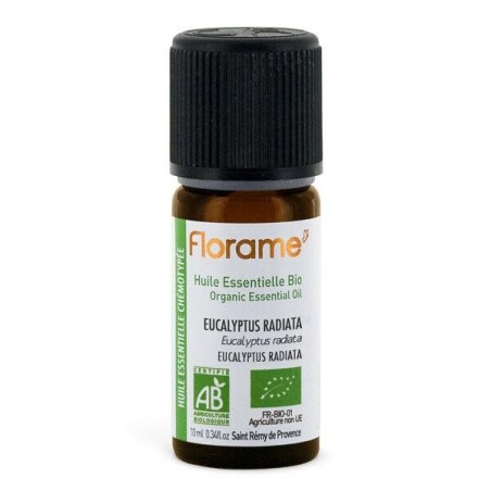 Eucalyptus Radiata Bio en infusettes