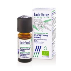 Flacon d'huile essentielle d'Eucalyptus Radiata Bio de Ladrôme
