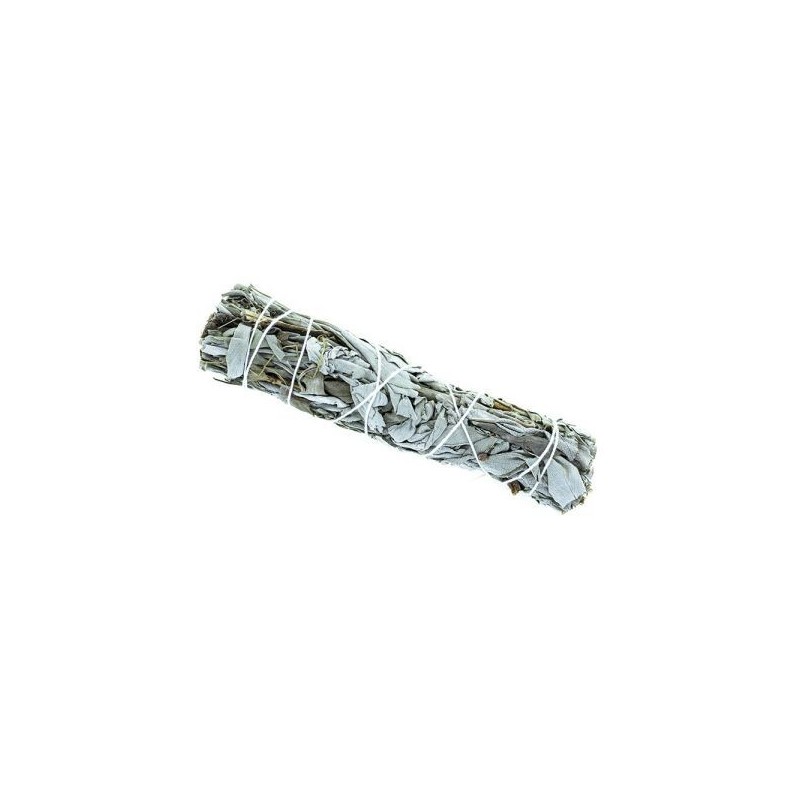 Tresse sauge Blanche 13 cm