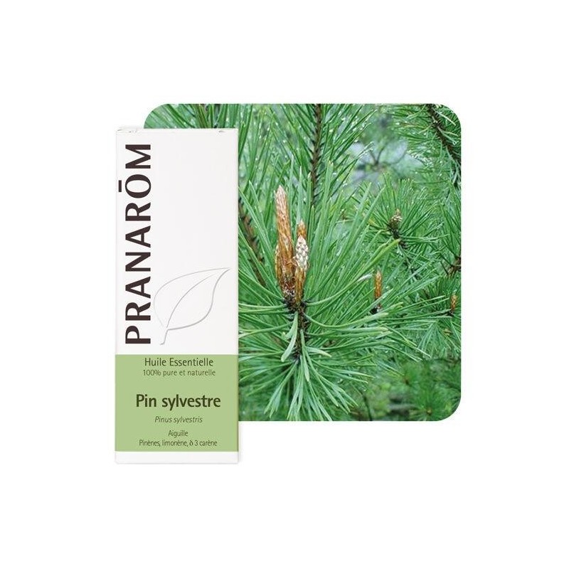 Huile essentielle Pin sylvestre bio de Pranarôm 10 ml