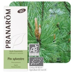 Gélules de Pin sylvestre bio pour le soutien respiratoire et la vitalité
