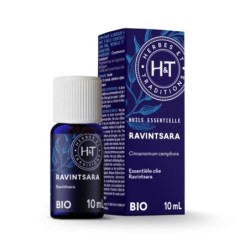 Ravintsare bio (Cinnamomum camphora) - huile essentielle purifiante pour le bien-être
