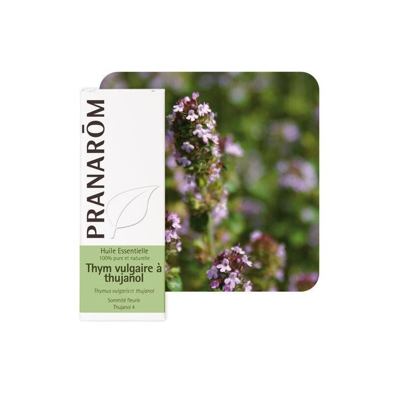 Huile essentielle bio de Thym vulgaire à thujanol 5 ml pour le soin des voies respiratoires et le renforcement immunitaire.