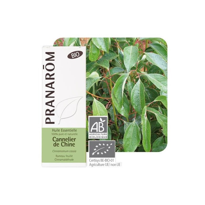Cannelle de Chine Bio