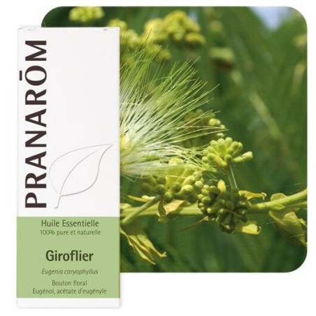 Huile essentielle bio Pranarôm de clou de girofle pour soins buccaux et cutanés