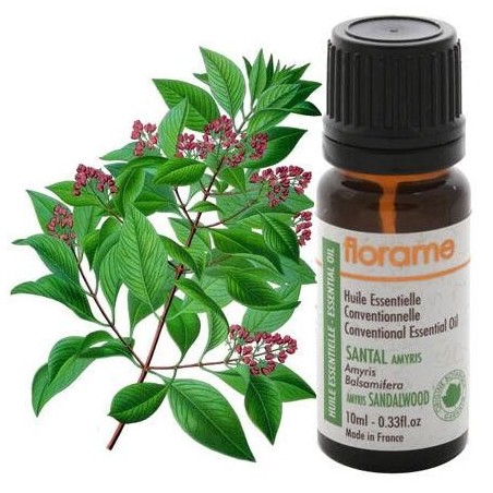 Huile essentielle Santal Amyris bio