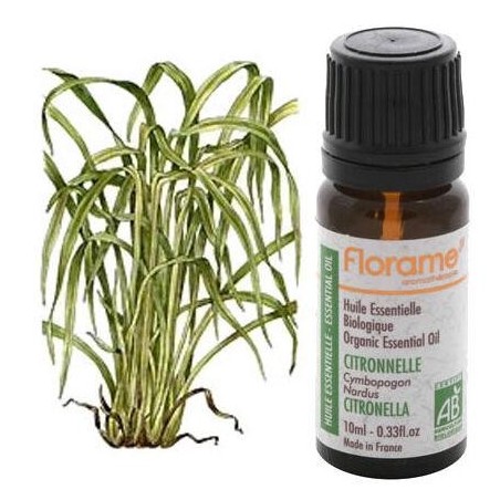 Infusettes de citronnelle bio Florame
