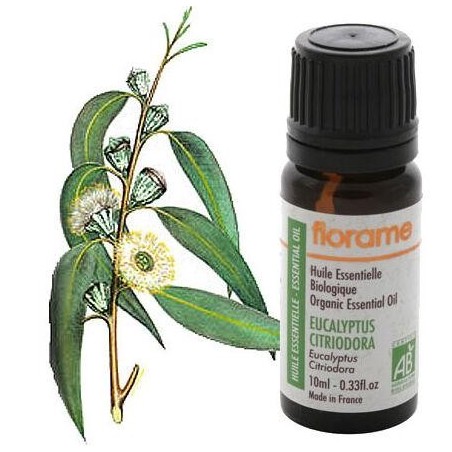Image de l'Eucalyptus Citriodora Bio de Florame