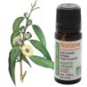 Image de l'Eucalyptus Citriodora Bio de Florame