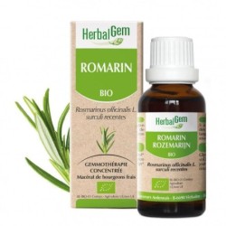 Romarin bio Herbalgem