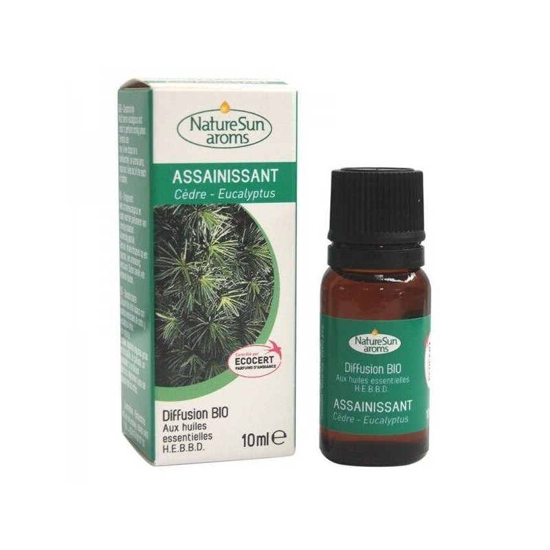 Assainissant Anti-tabac Bio NatureSun'aroms
