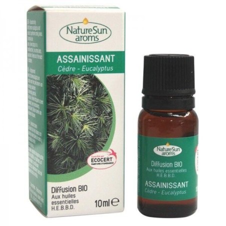 Assainissant Anti-tabac Bio NatureSun'aroms