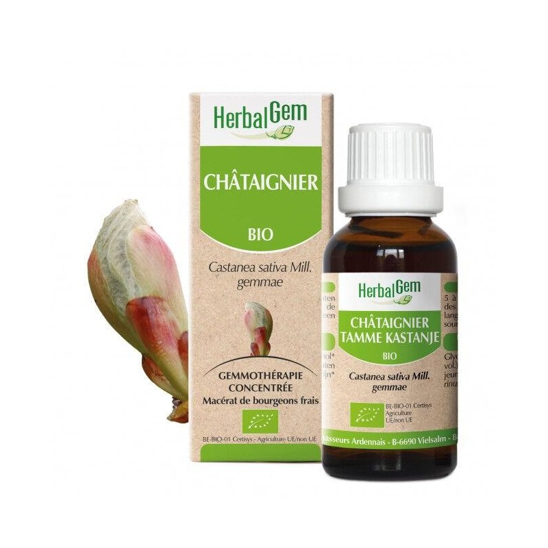 Macérat de bourgeons de Châtaignier bio Herbalgem pour améliorer la circulation et soulager les jambes lourdes.