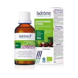 Extrait de Marronnier d'Inde bio - Améliore le confort circulatoire des jambes