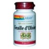 Feuille d'Olivier Solaray - Complément naturel en capsules pour soutenir le bien-être avec oléuropéine