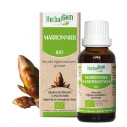 Flacon de Marronnier bio Herbalgem 10 ml pour améliorer la circulation et soulager les jambes lourdes.