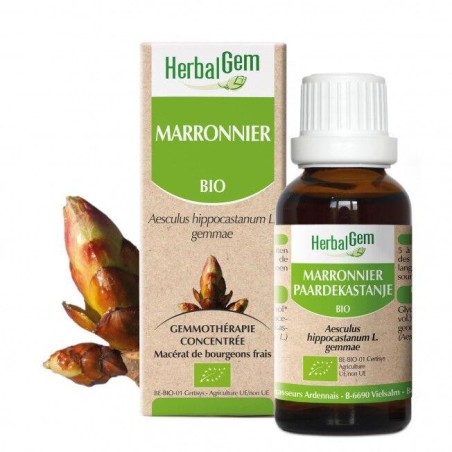 Flacon de Marronnier bio Herbalgem 10 ml pour améliorer la circulation et soulager les jambes lourdes.