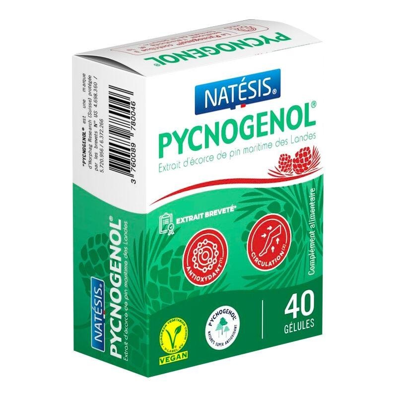 Pycnogénol Extrait d'écorce de Pin maritime