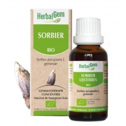 Flacon de Sorbier bio 50 ml