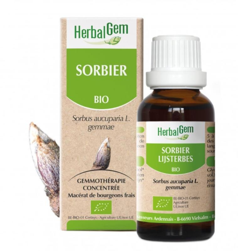 Flacon de Sorbier bio 50 ml