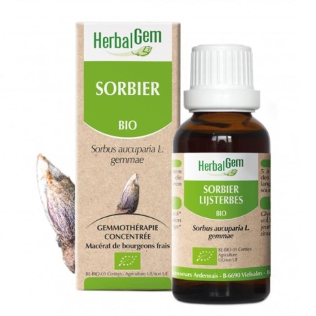 Flacon de Sorbier bio 50 ml