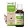 Flacon de Sorbier bio 50 ml