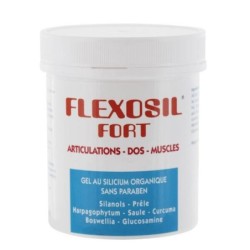 Gel Flexosil Fort pour articulations et muscles