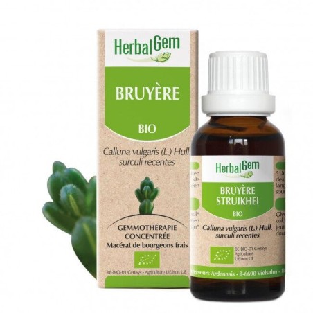 HerbalGem Bruyère bio 50 ml pour confort urinaire