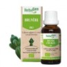 HerbalGem Bruyère bio 50 ml pour confort urinaire