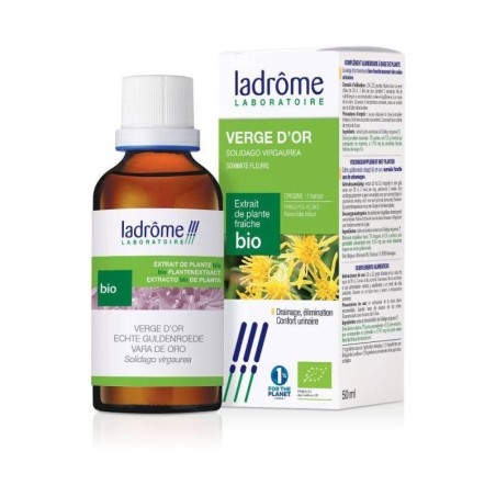 Verge d'Or bio - Extrait de Plantes Fraîches pour le confort urinaire et bien-être naturel.