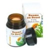 Baume au souci Pot 100 ml