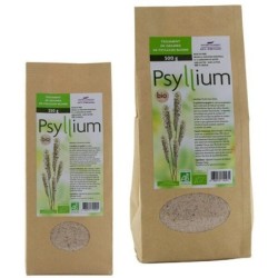 Psyllium blond tégument bio