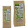 Psyllium blond tégument bio